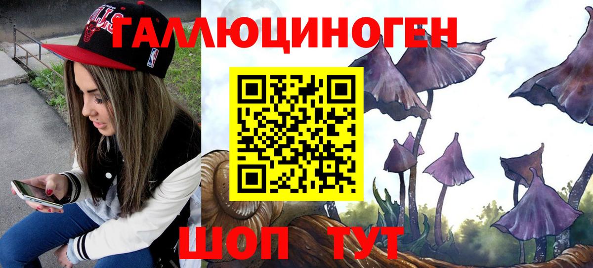 Галлюциногенные грибы Psilocybine cubensis  Вход с VPN  Елец  Галлюциногенные грибы прущие грибы 
